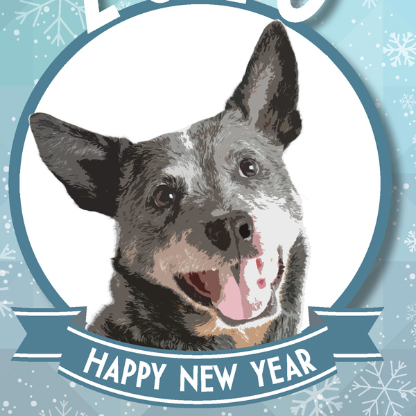 Blue Heeler Arts New Year’s Card