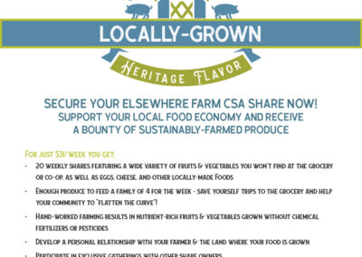 Elsewhere Farm Promo Poster Design